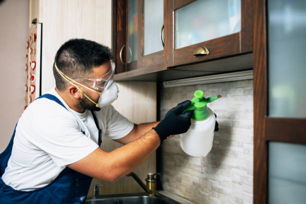 Best Best Pest Control Companies  in Dunellen, NJ