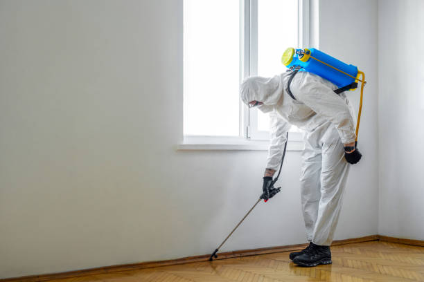 Best Mosquito Control Services  in Dunellen, NJ