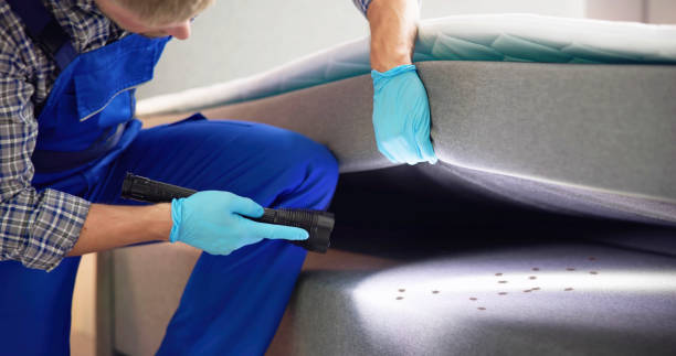 Best Insect Control  in Dunellen, NJ