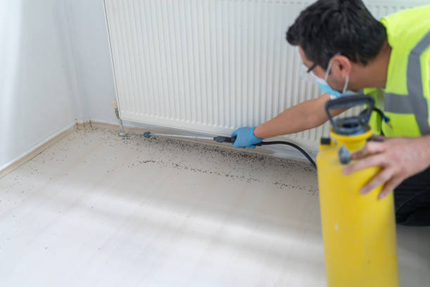 Best Cockroach Control Services  in Dunellen, NJ